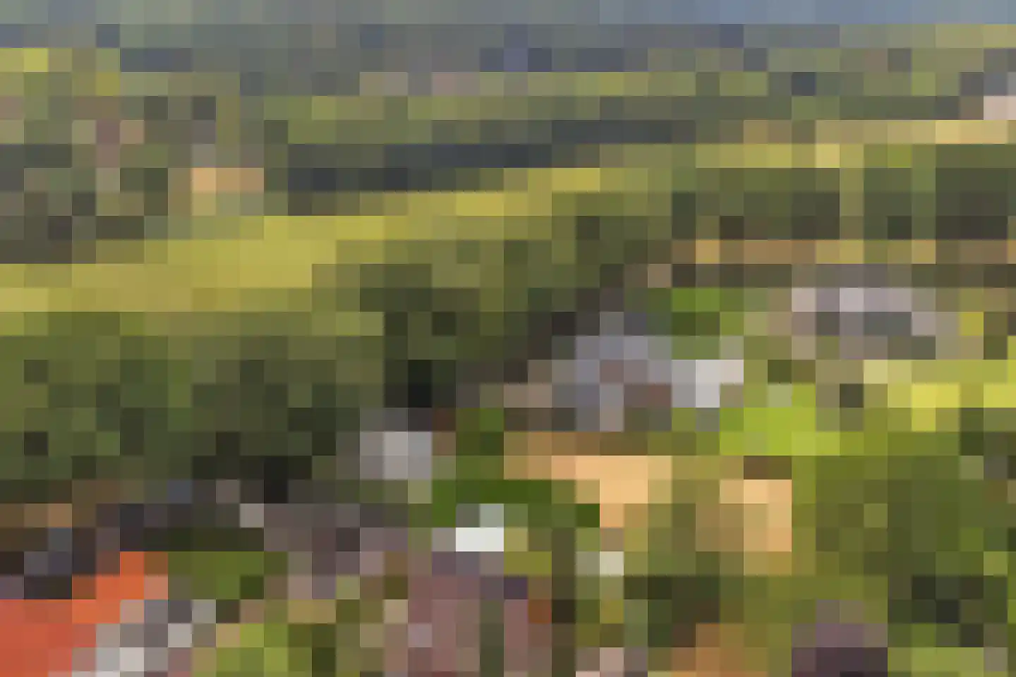 Johannahoeve 1 Oosterbeek thumbnail 37