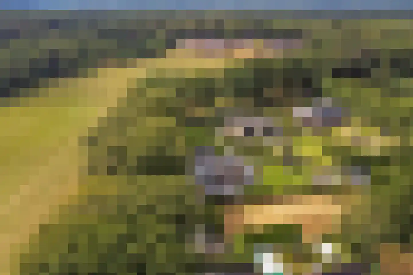 Johannahoeve 1 Oosterbeek thumbnail 38