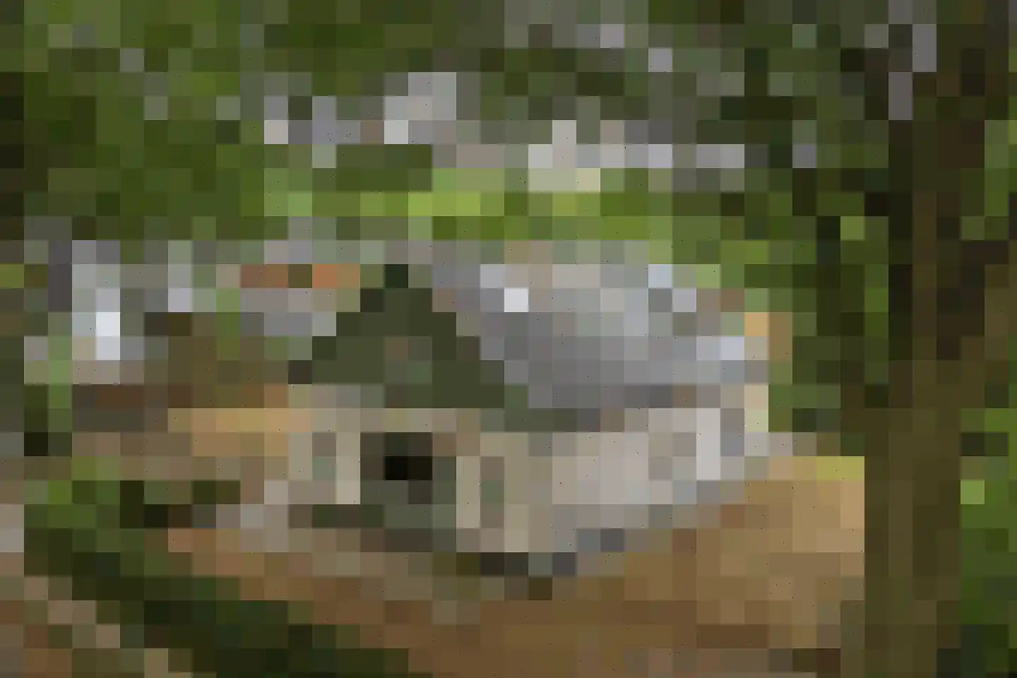 Johannahoeve 1 Oosterbeek thumbnail 39