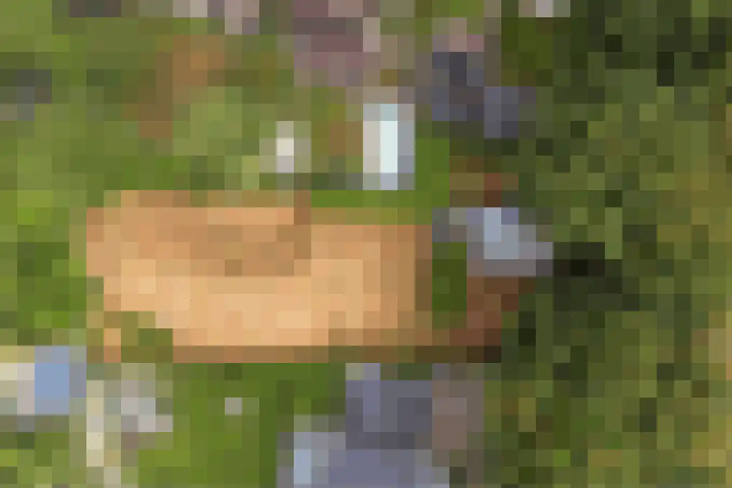 Johannahoeve 1 Oosterbeek thumbnail 4