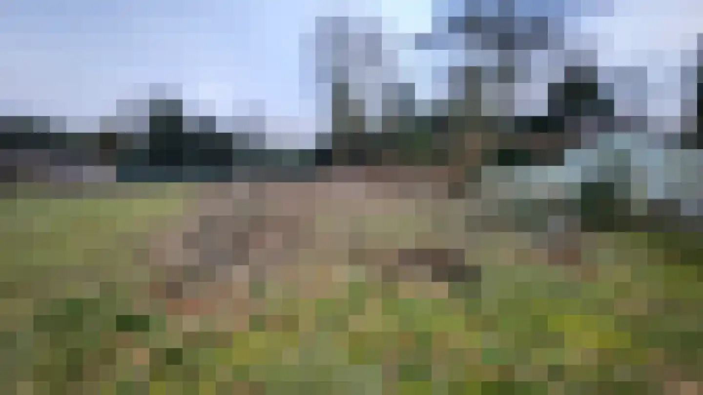 Johannahoeve 1 Oosterbeek thumbnail 6
