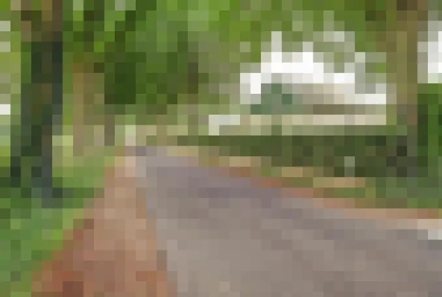Johannahoeve 1 Oosterbeek thumbnail 7