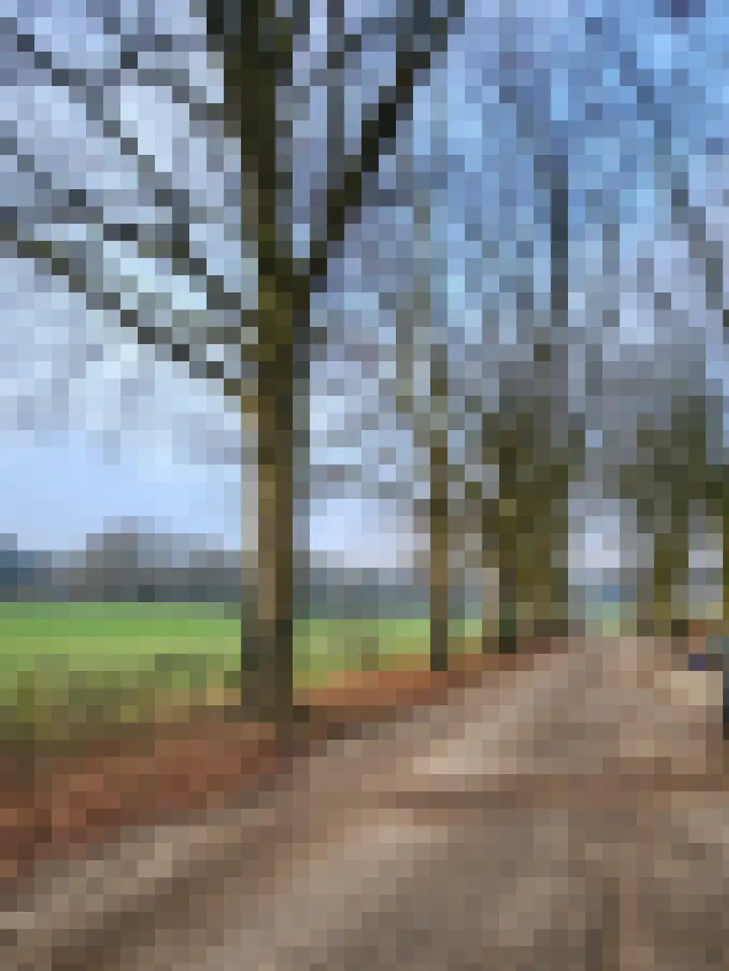 Johannahoeve 1 Oosterbeek thumbnail 9