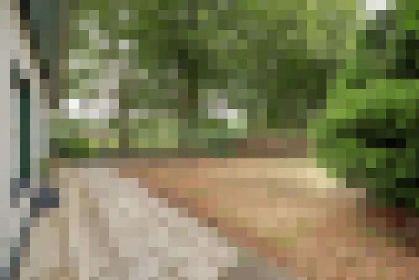 Johannahoeve 1 Oosterbeek thumbnail 9