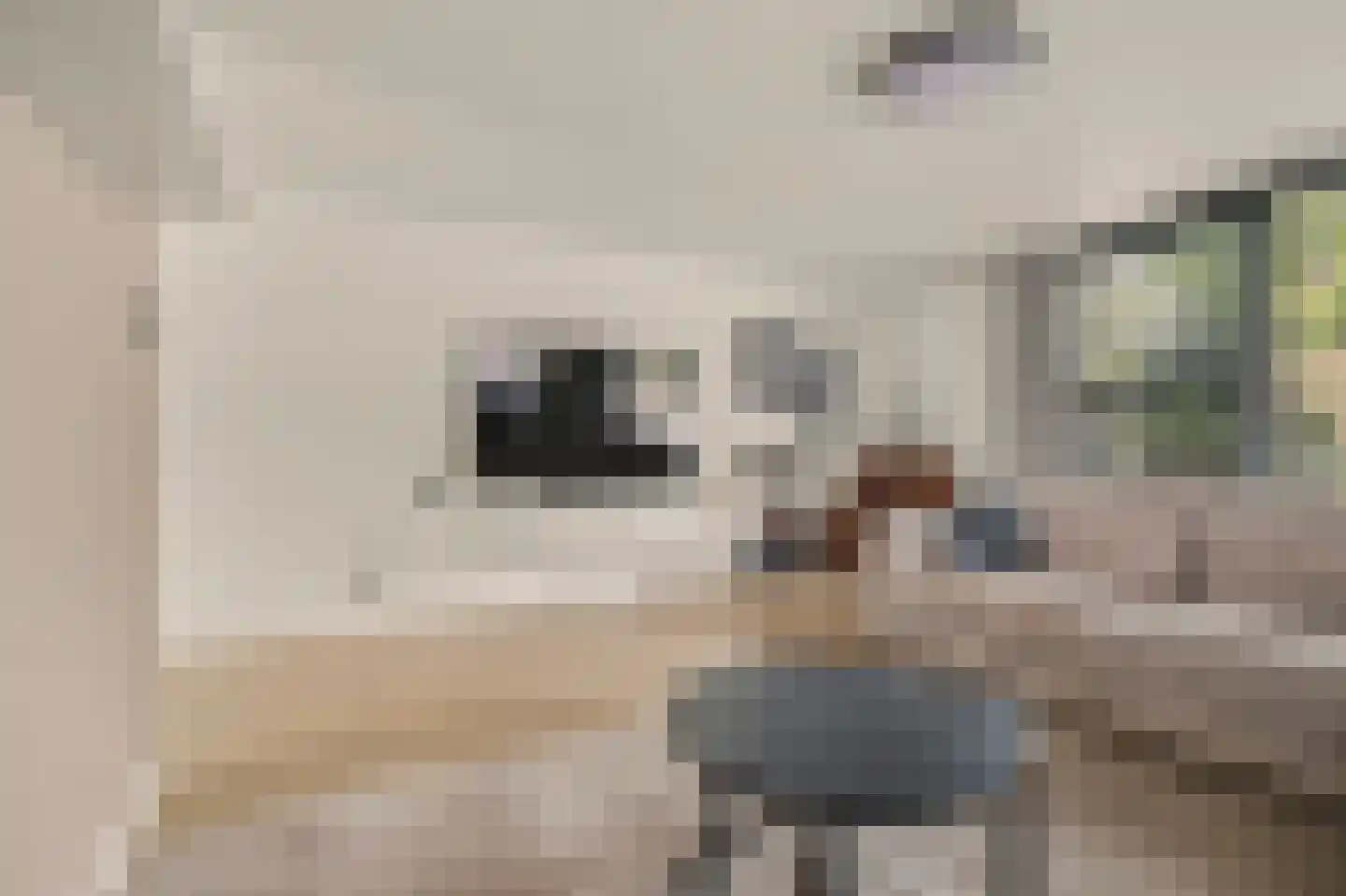 Johannahoeve 5 Huissen thumbnail 10