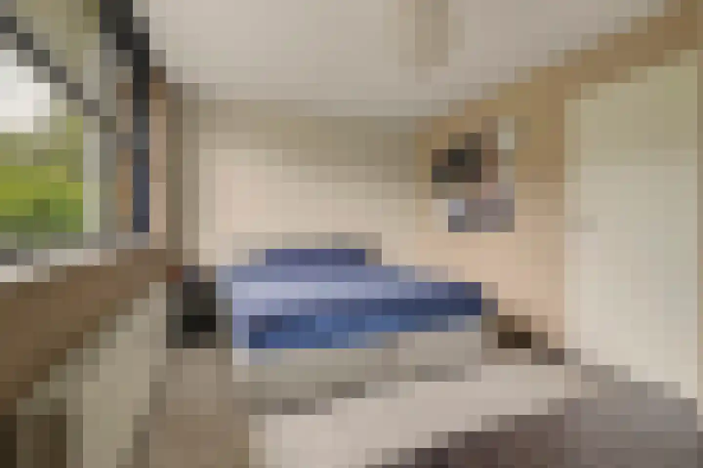 Johannahoeve 5 Huissen thumbnail 20
