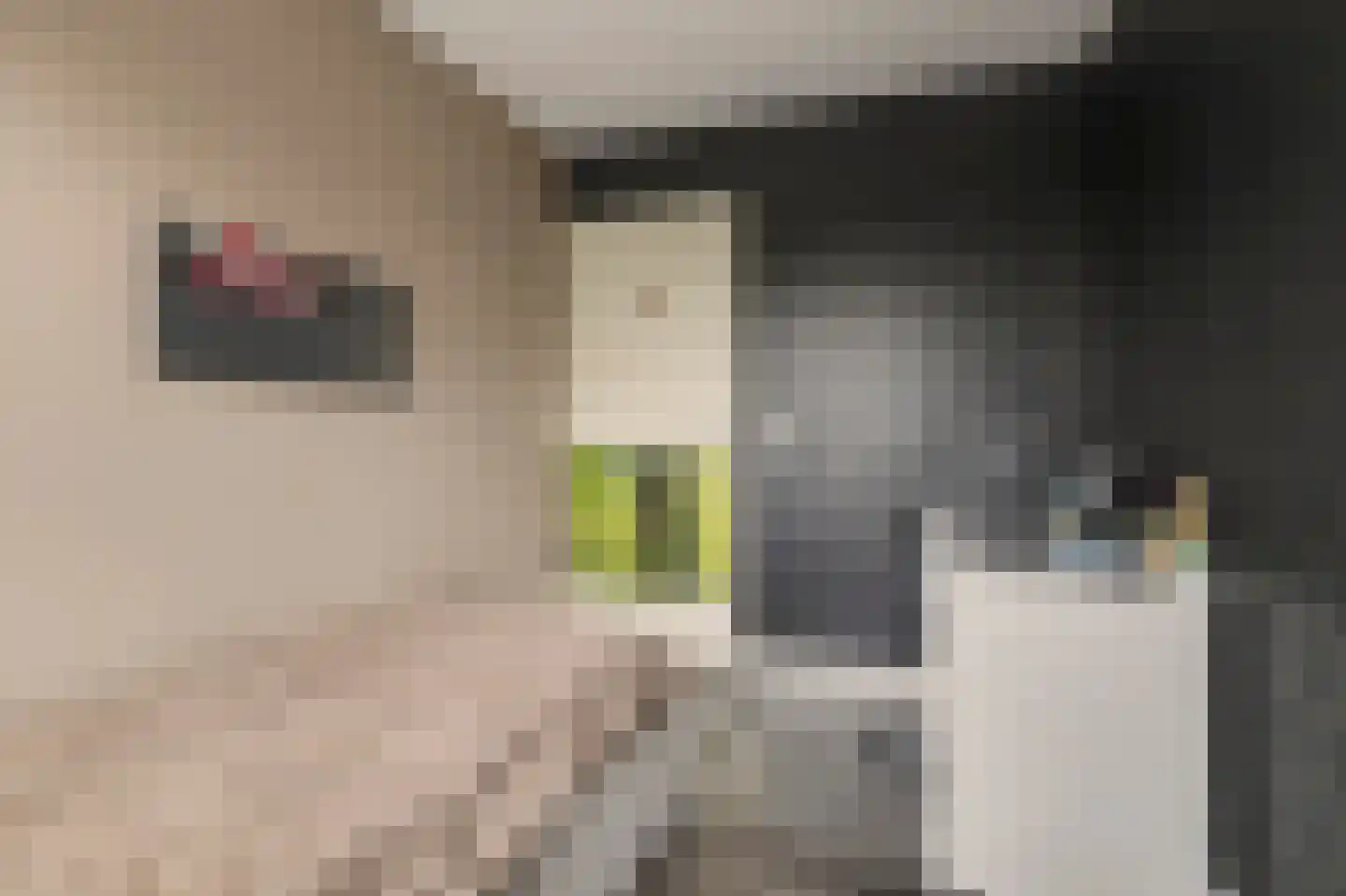 Johannahoeve 5 Huissen thumbnail 24