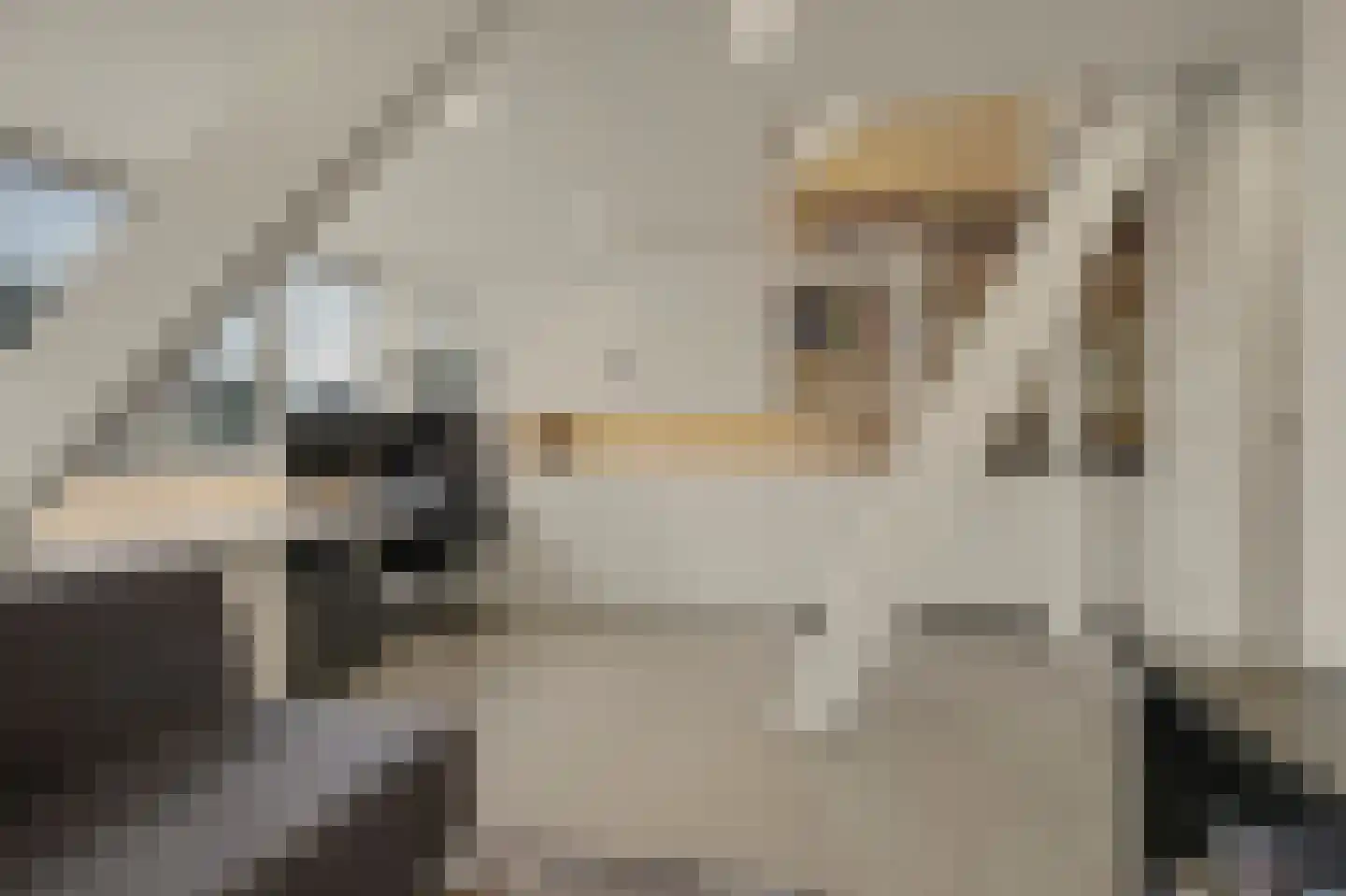 Johannahoeve 5 Huissen thumbnail 33