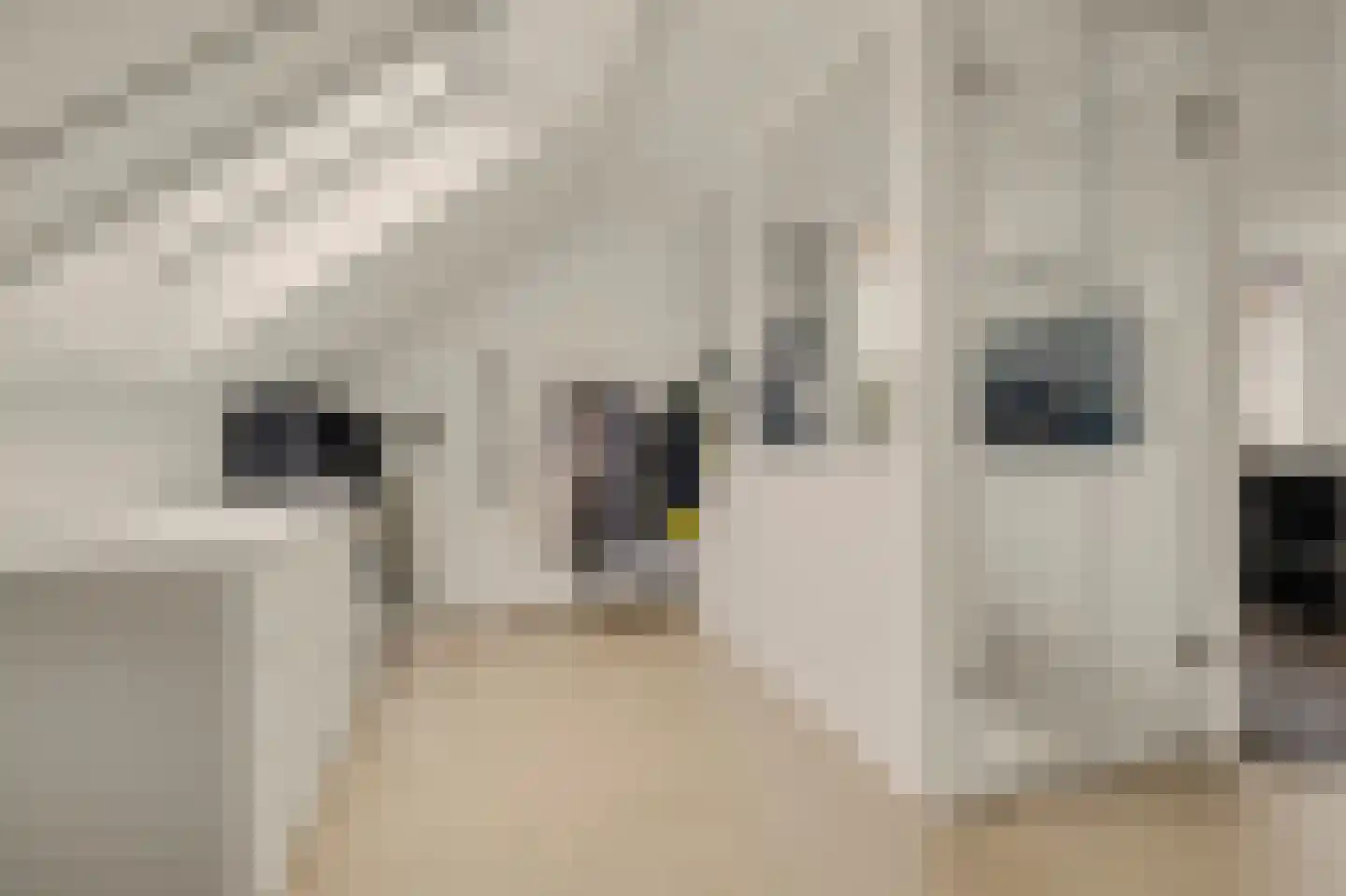 Johannahoeve 5 Huissen thumbnail 34