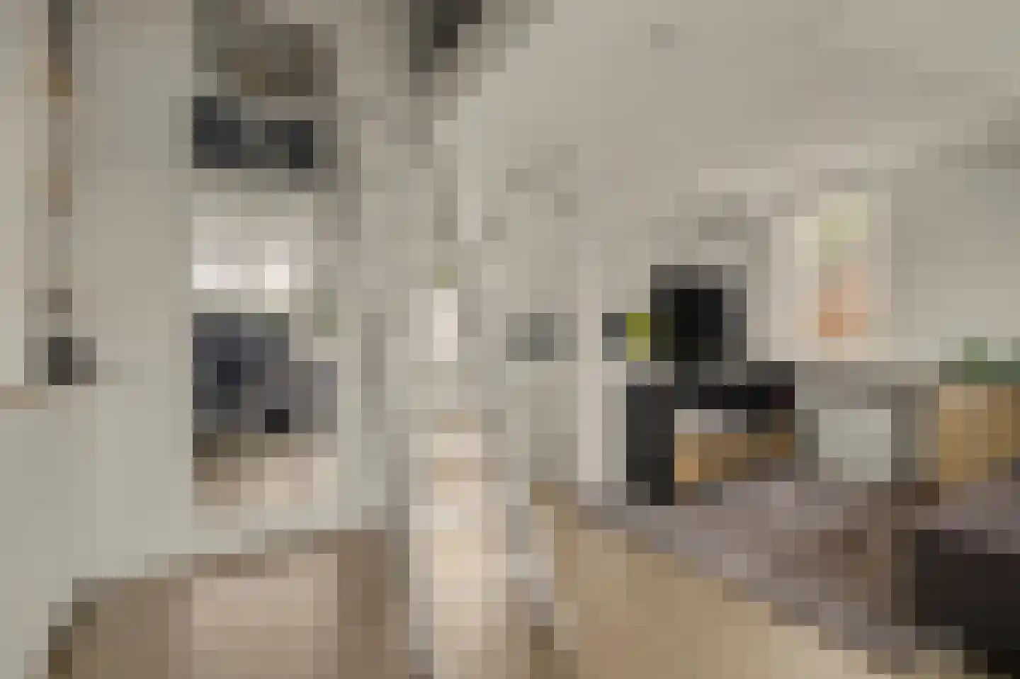 Johannahoeve 5 Huissen thumbnail 35