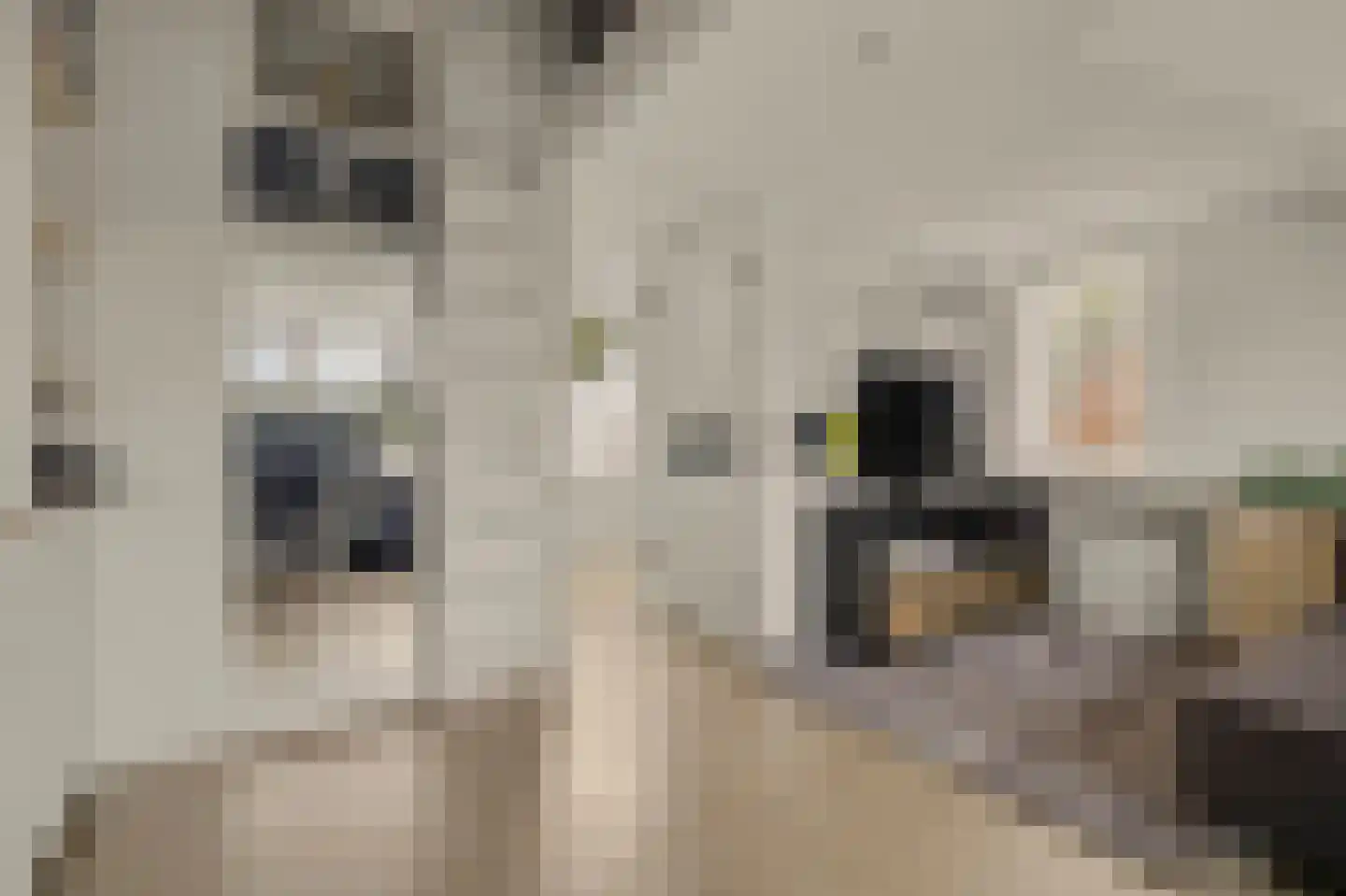 Johannahoeve 5 Huissen thumbnail 36