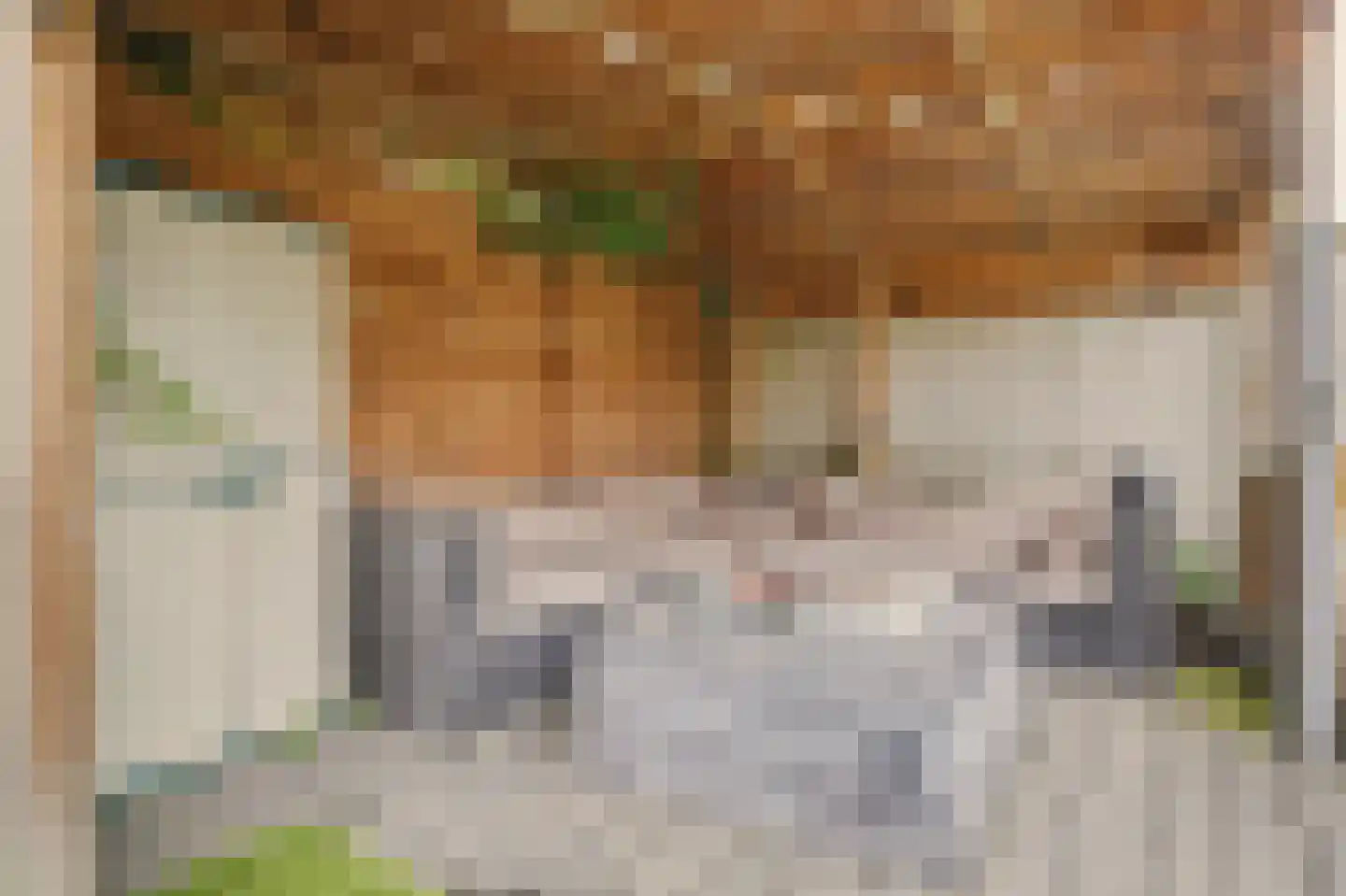 Johannahoeve 5 Huissen thumbnail 44