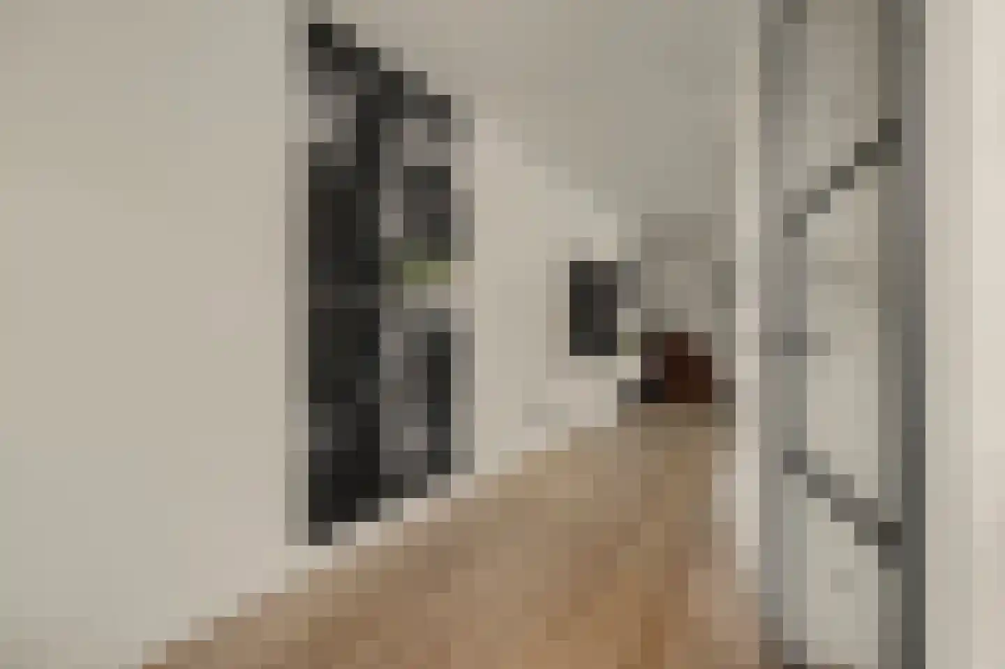 Johannahoeve 5 Huissen thumbnail 7