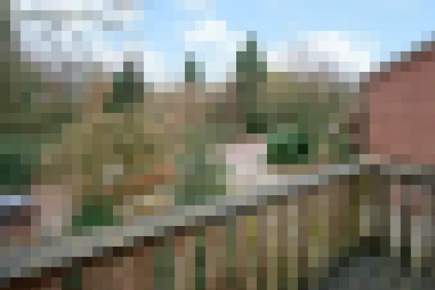 Johannahoeveweg 14 Wolfheze thumbnail 24