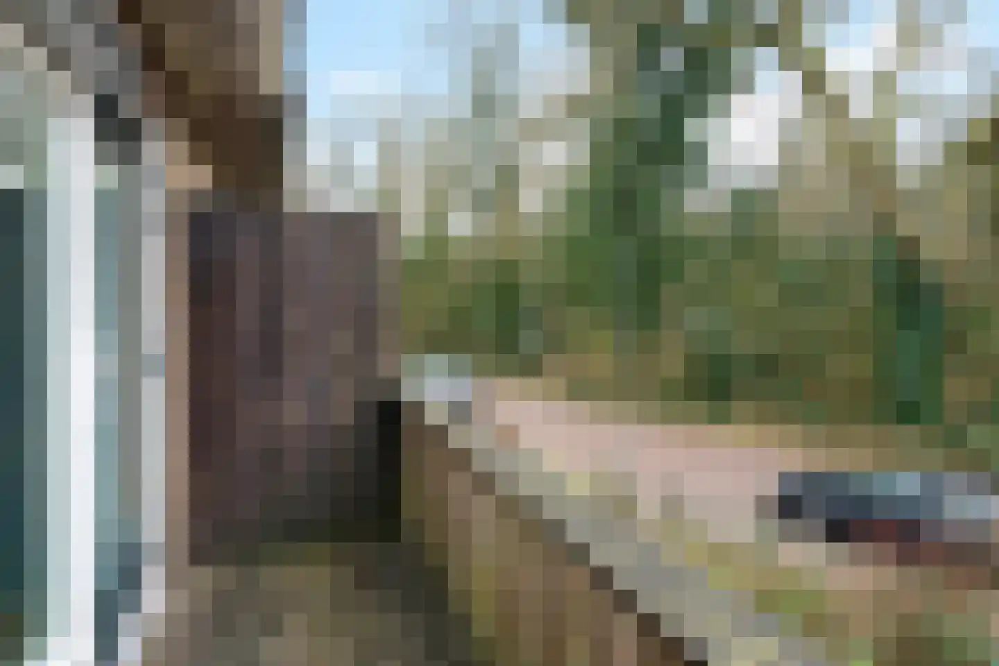 Johannahoeveweg 14 Wolfheze thumbnail 25