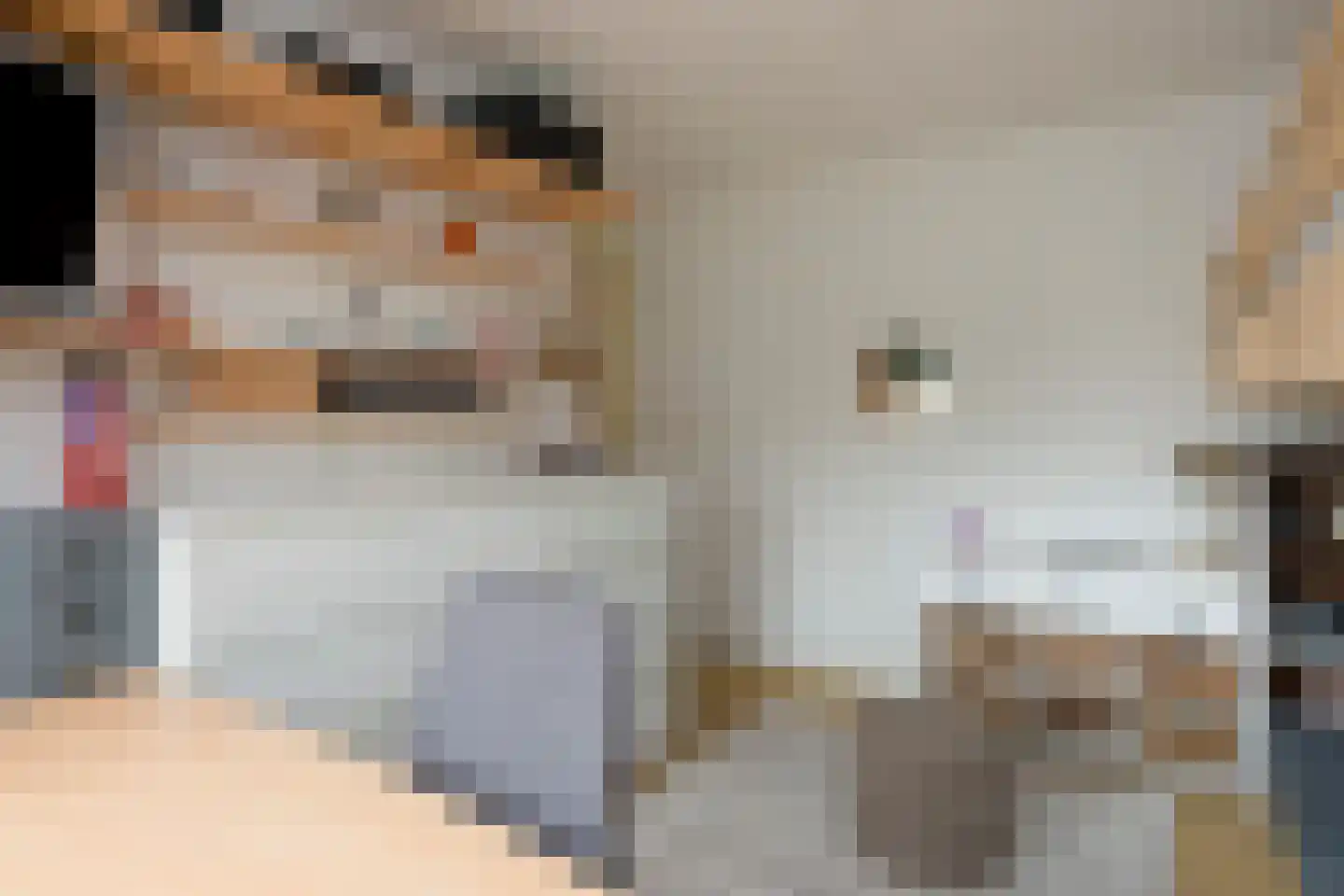 Johannahoeveweg 14 Wolfheze thumbnail 26