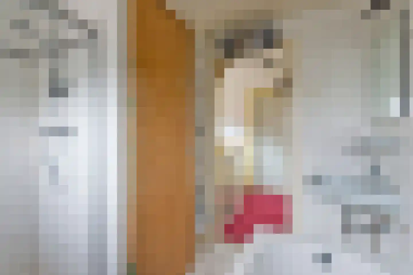 Johannahoeveweg 14 Wolfheze thumbnail 31