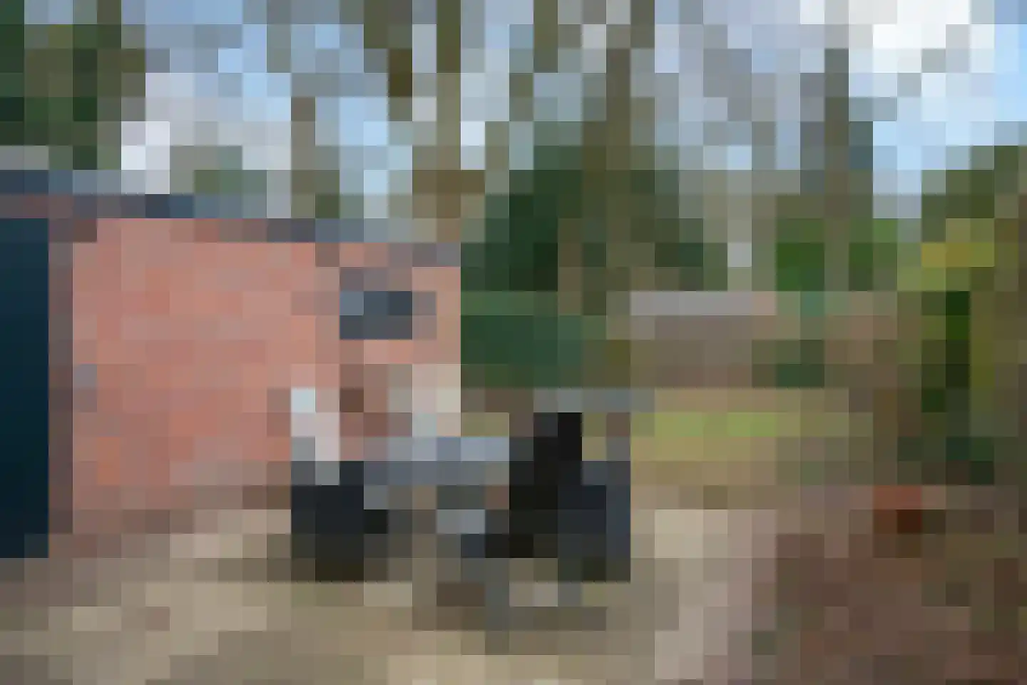 Johannahoeveweg 14 Wolfheze thumbnail 42