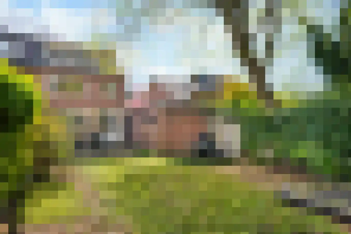 Johannahoeveweg 14 Wolfheze thumbnail 42