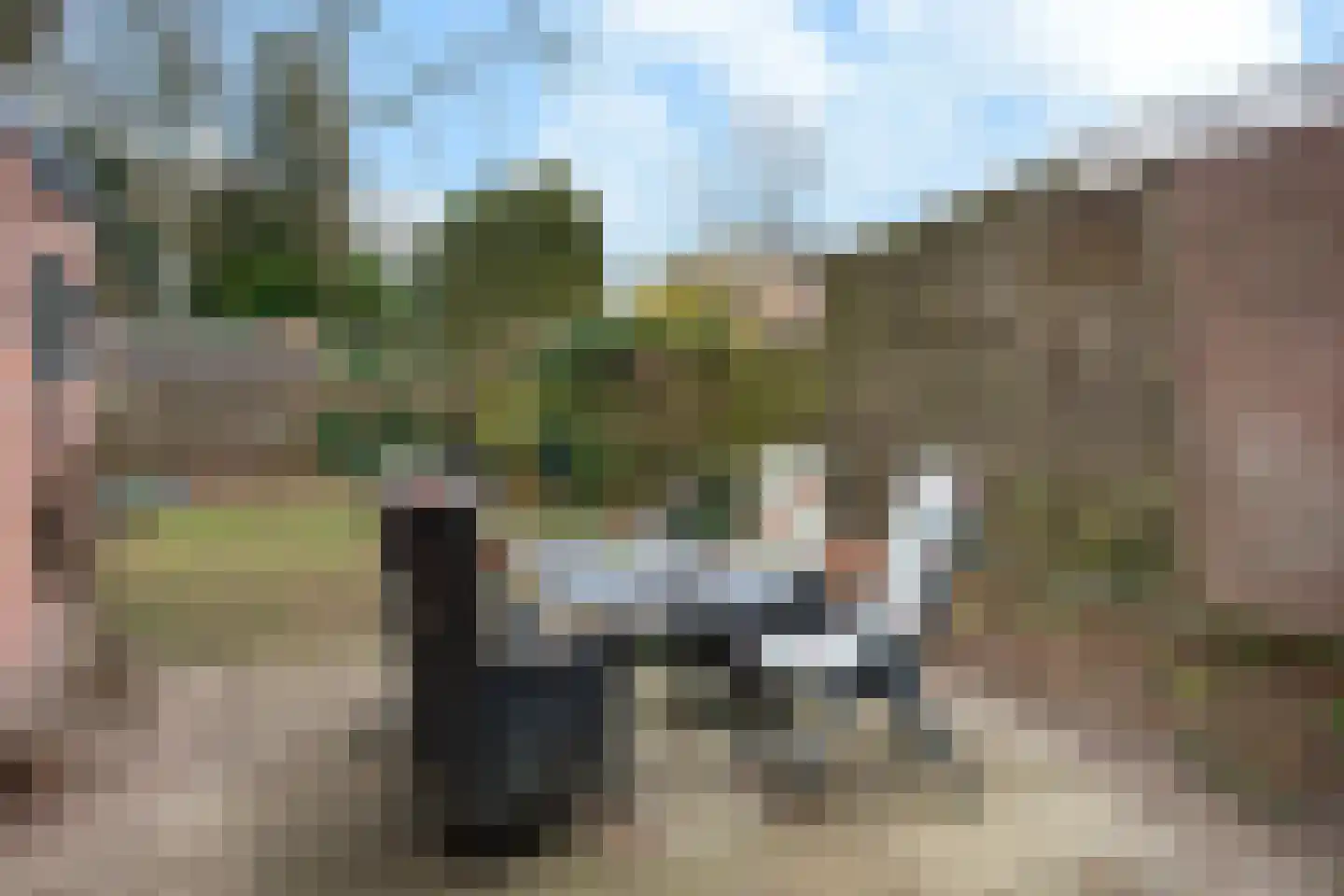 Johannahoeveweg 14 Wolfheze thumbnail 43