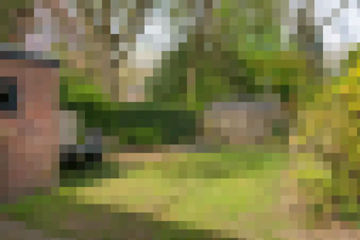 Johannahoeveweg 14 Wolfheze thumbnail 43