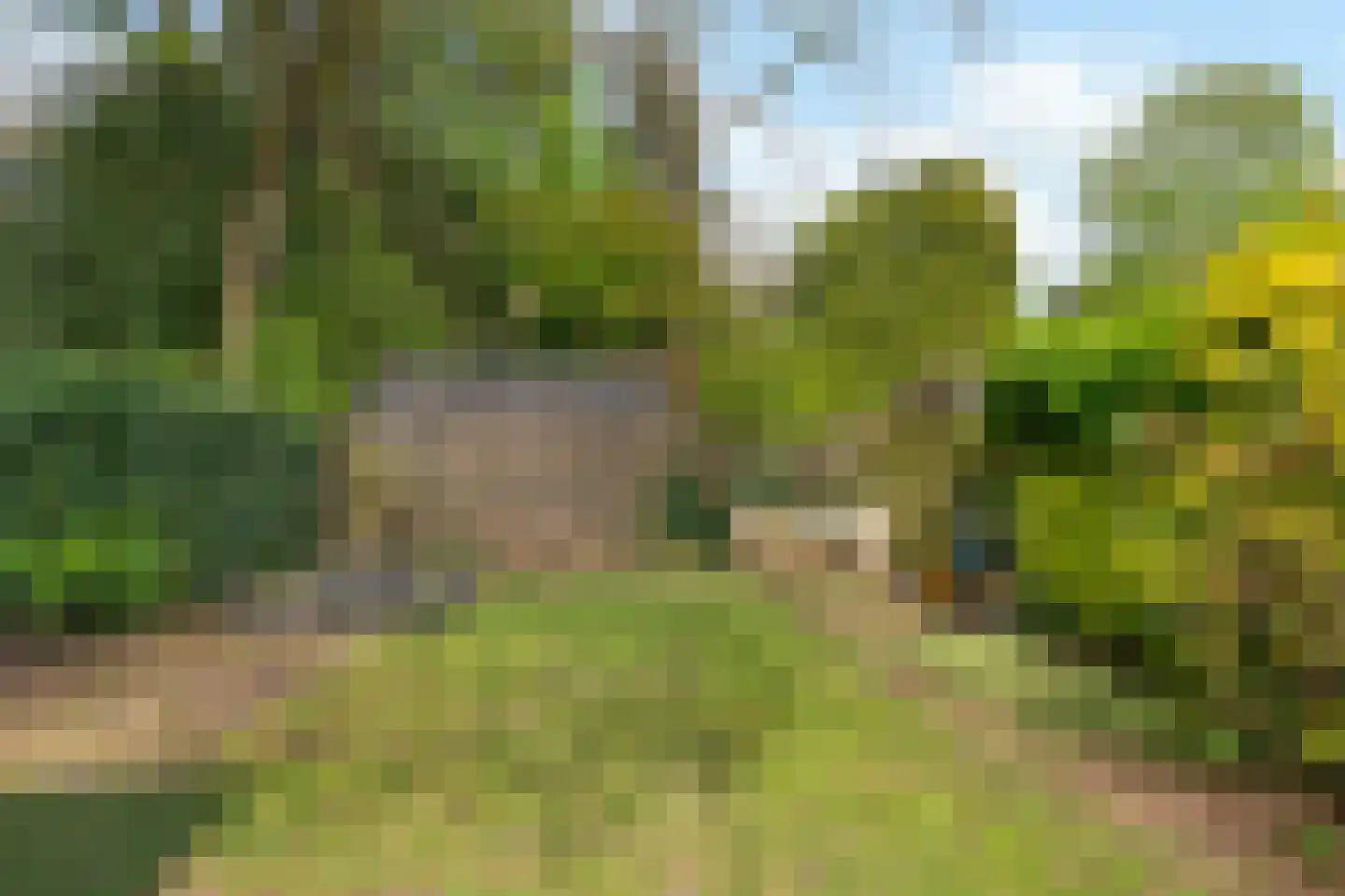 Johannahoeveweg 14 Wolfheze thumbnail 44