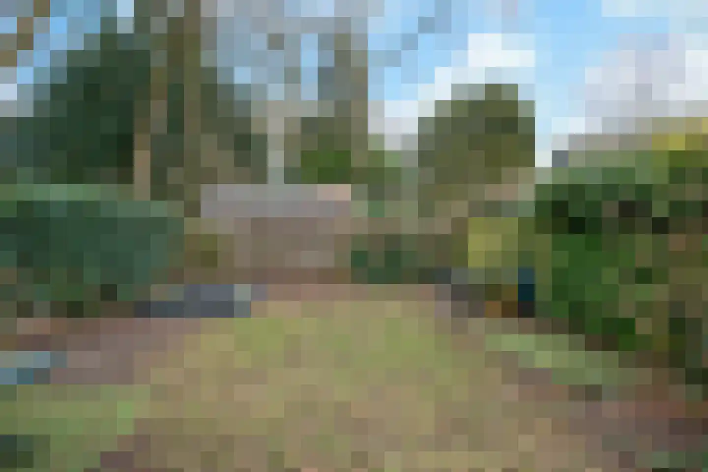 Johannahoeveweg 14 Wolfheze thumbnail 44