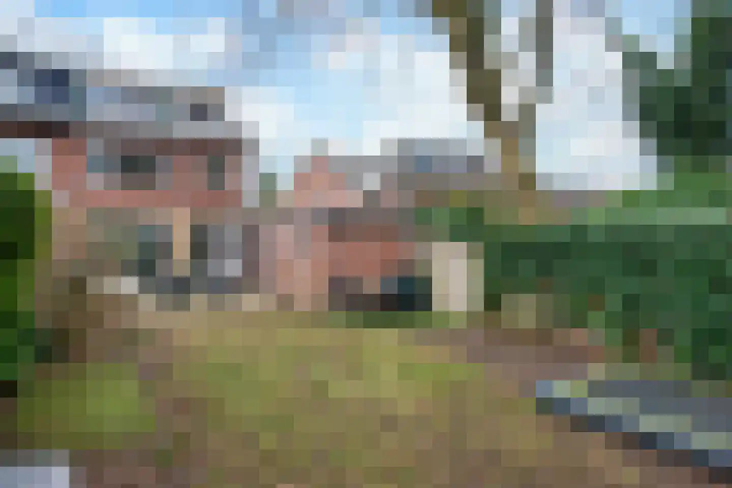 Johannahoeveweg 14 Wolfheze thumbnail 45