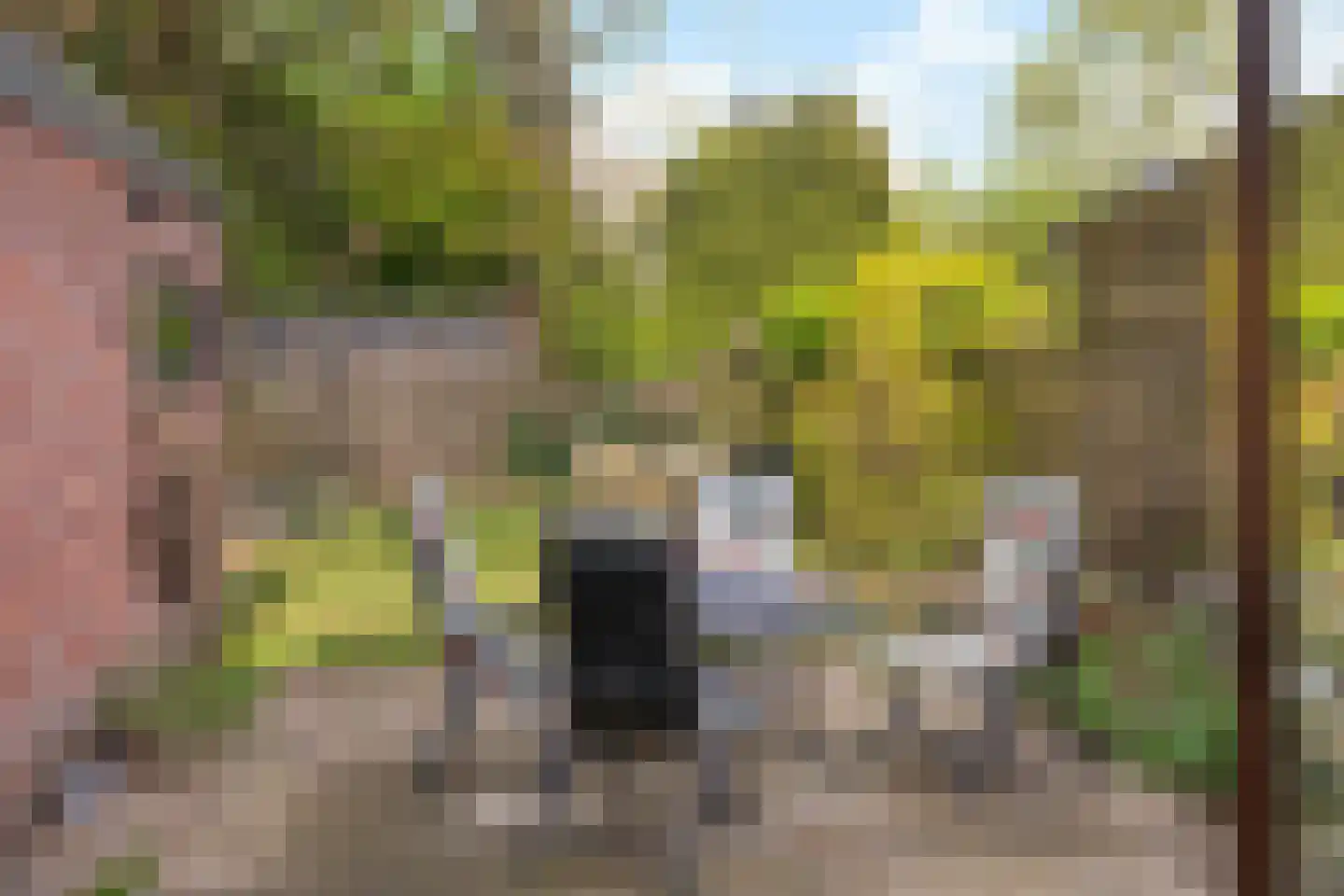 Johannahoeveweg 14 Wolfheze thumbnail 45
