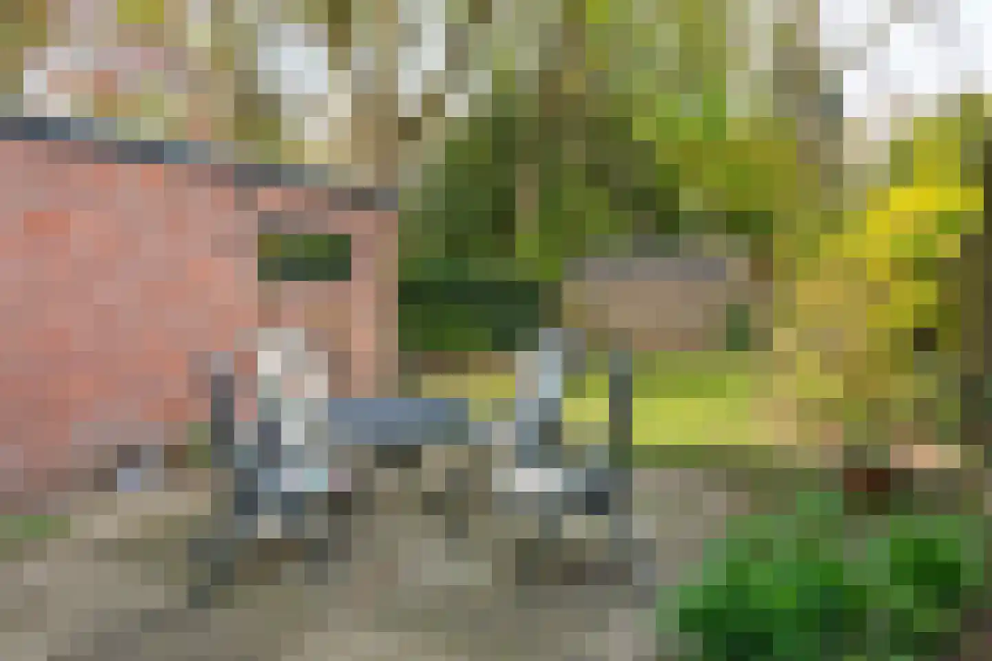 Johannahoeveweg 14 Wolfheze thumbnail 46