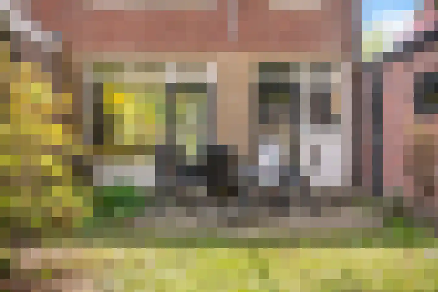 Johannahoeveweg 14 Wolfheze thumbnail 47