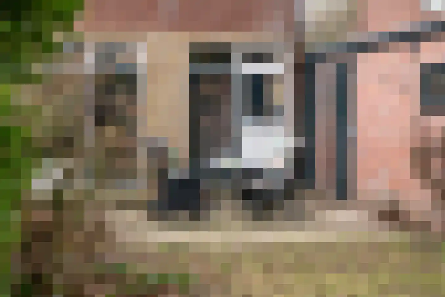 Johannahoeveweg 14 Wolfheze thumbnail 47
