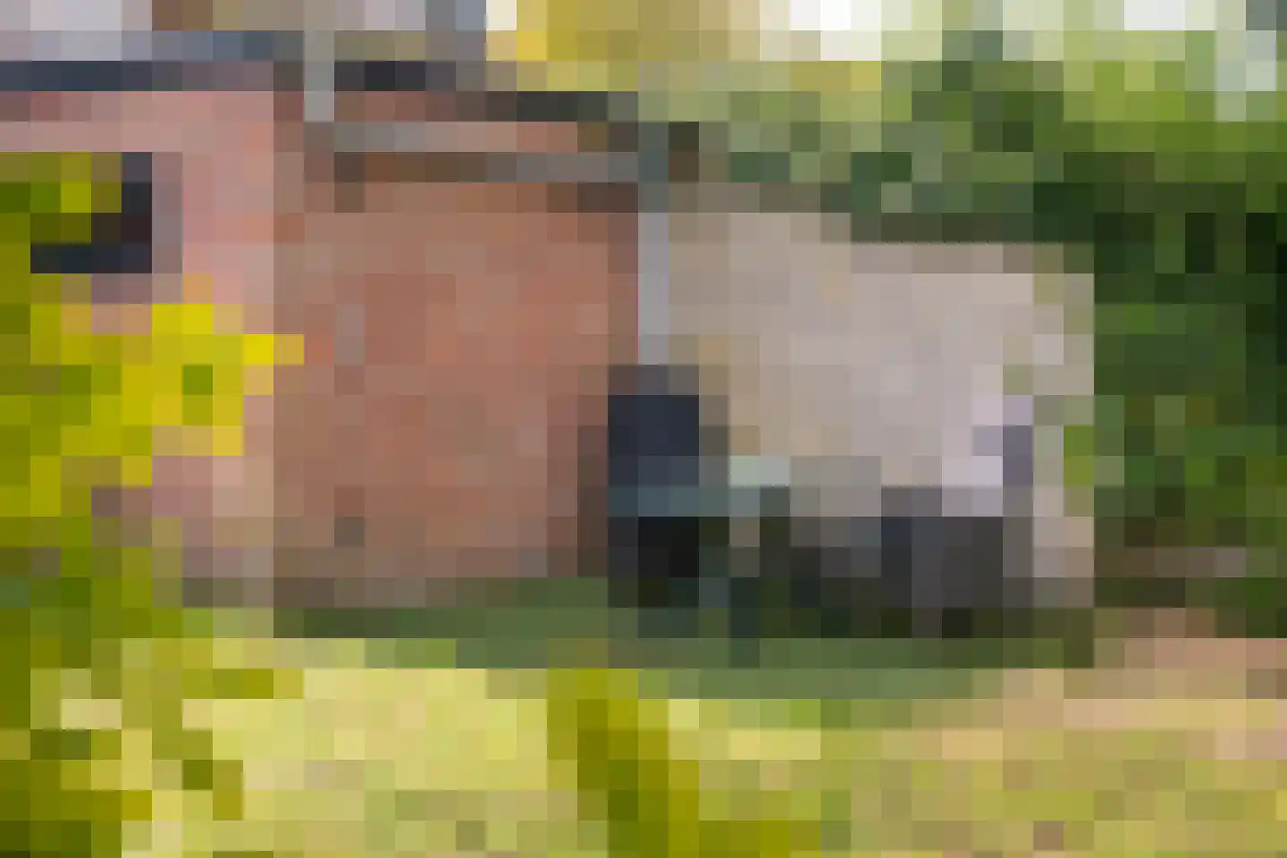 Johannahoeveweg 14 Wolfheze thumbnail 50