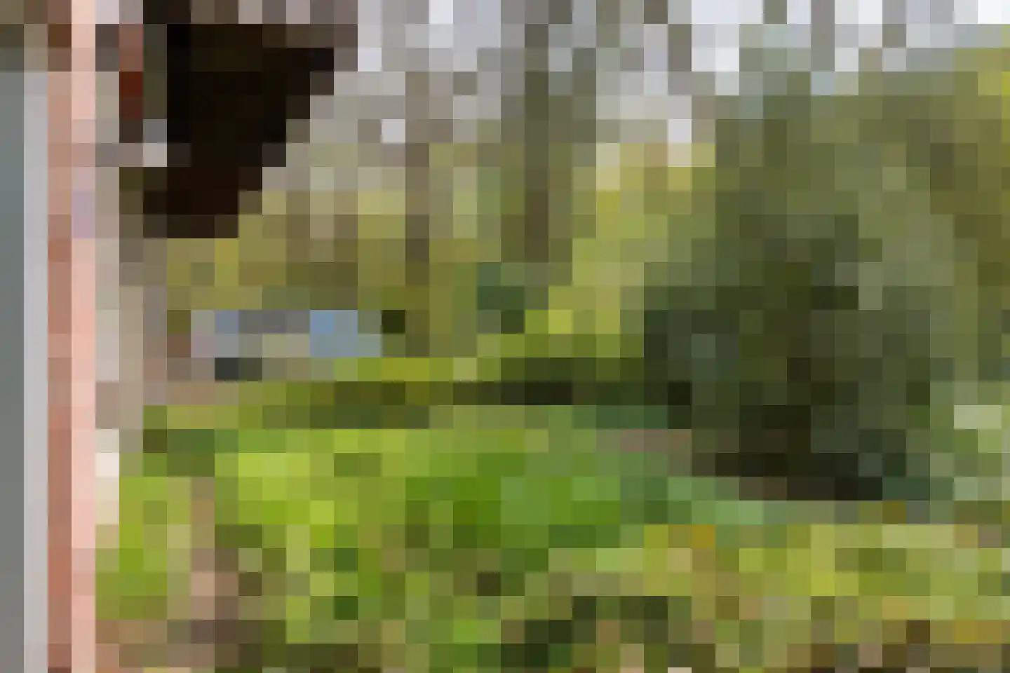 Johannahoeveweg 14 Wolfheze thumbnail 52