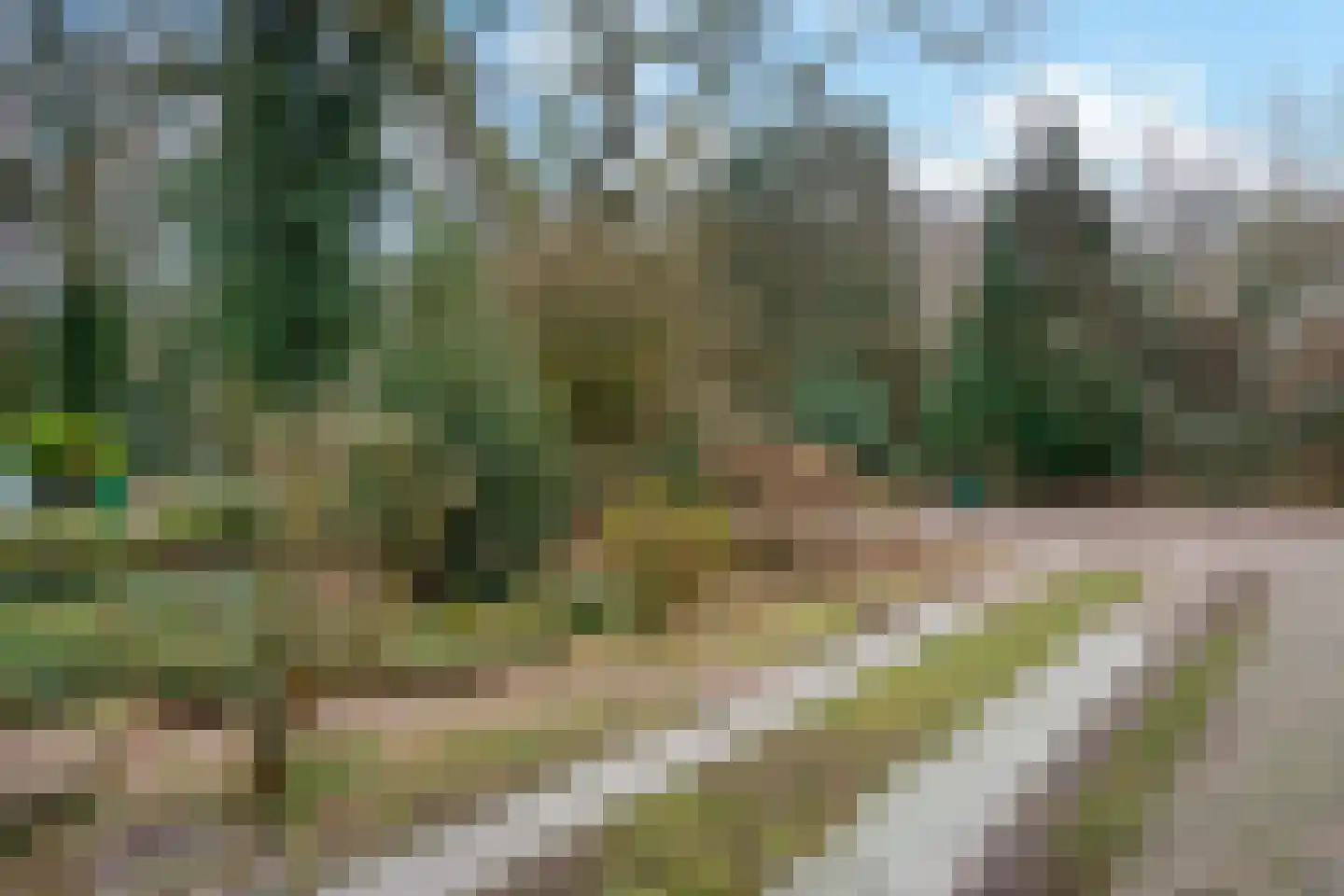 Johannahoeveweg 14 Wolfheze thumbnail 54