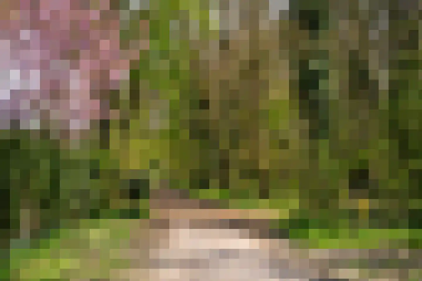 Johannahoeveweg 14 Wolfheze thumbnail 54