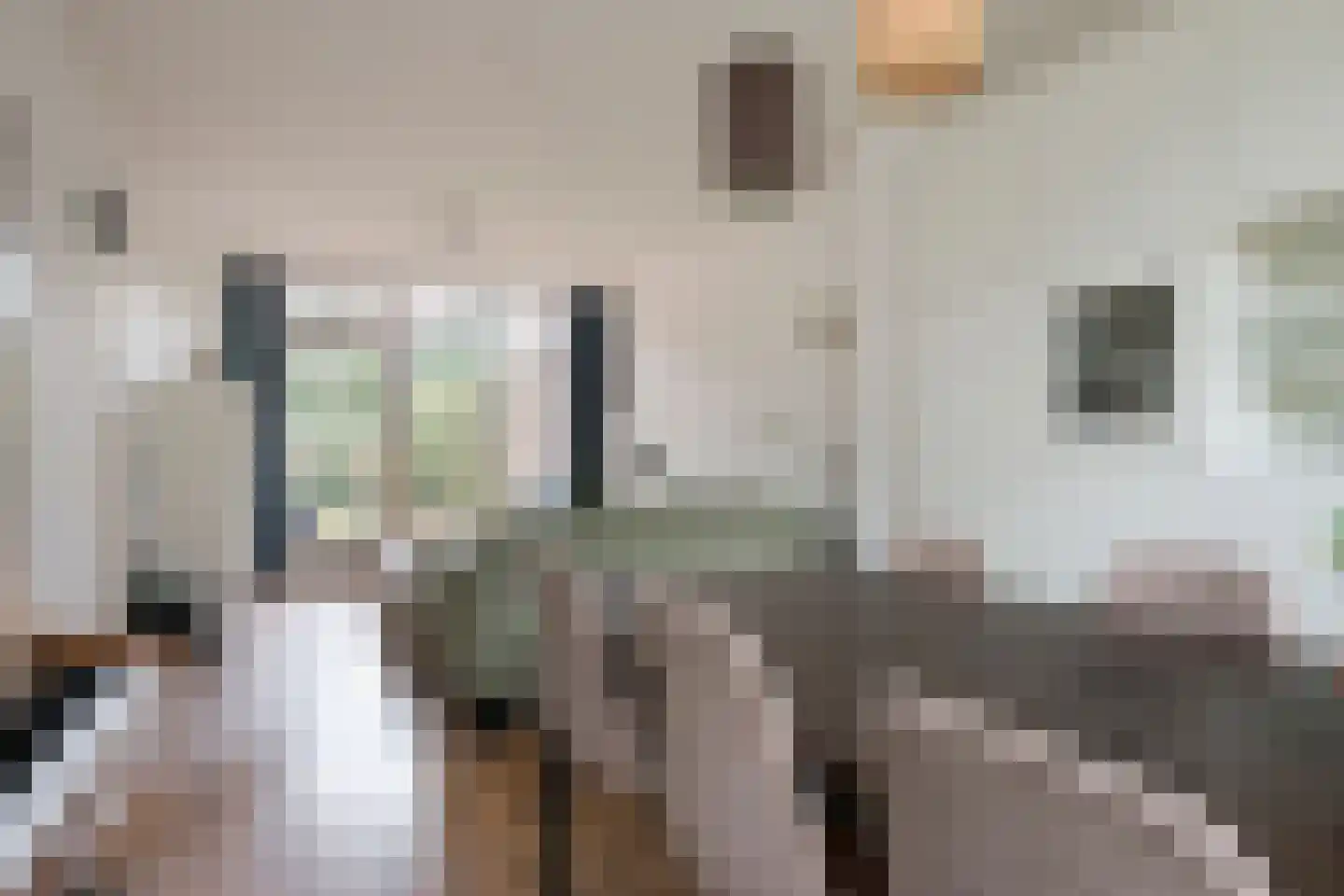 Johannahoeveweg 14 Wolfheze thumbnail 7