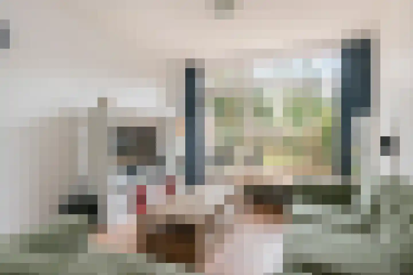 Johannahoeveweg 14 Wolfheze thumbnail 9