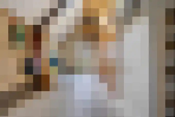 Johannalaan 5 Heeten thumbnail 26