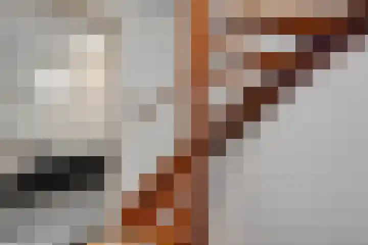 Johannalaan 5 Heeten thumbnail 27