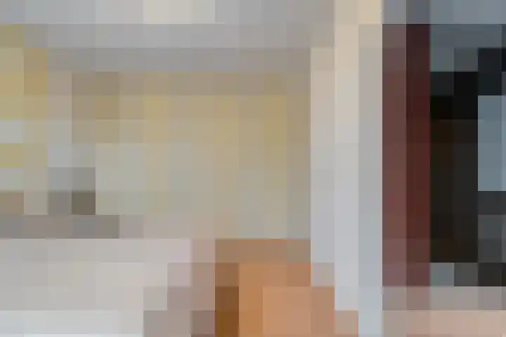 Johannalaan 5 Heeten thumbnail 30