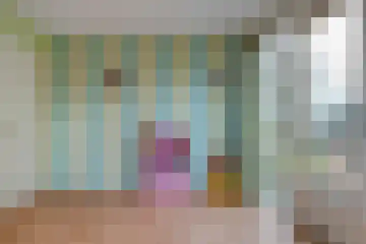Johannalaan 5 Heeten thumbnail 34