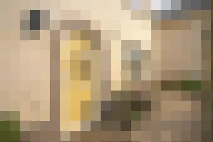 Johannalaan 5 Heeten thumbnail 4