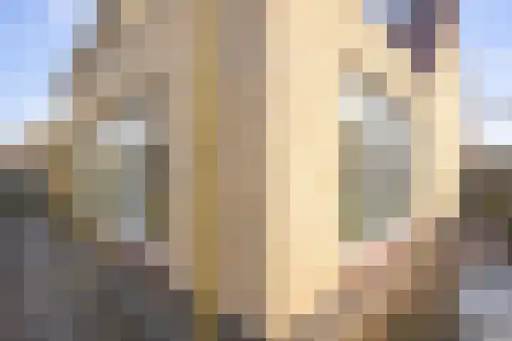 Johannalaan 5 Heeten thumbnail 48