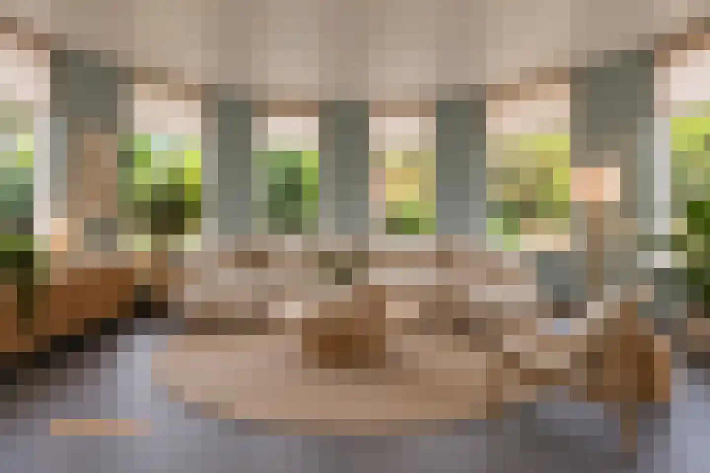 Johannapark 4 Hoeven thumbnail 16