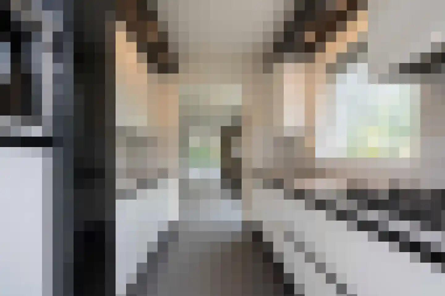 Johannapark 4 Hoeven thumbnail 20