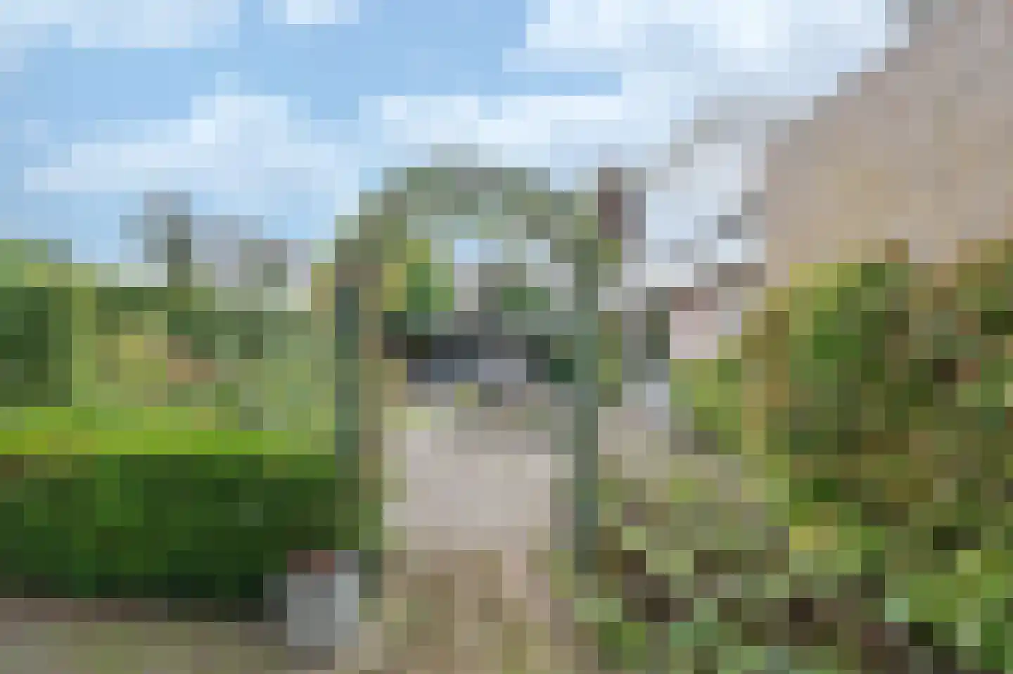 Johannapark 4 Hoeven thumbnail 24