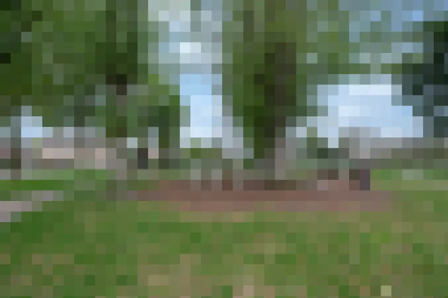 Johannapark 4 Hoeven thumbnail 6