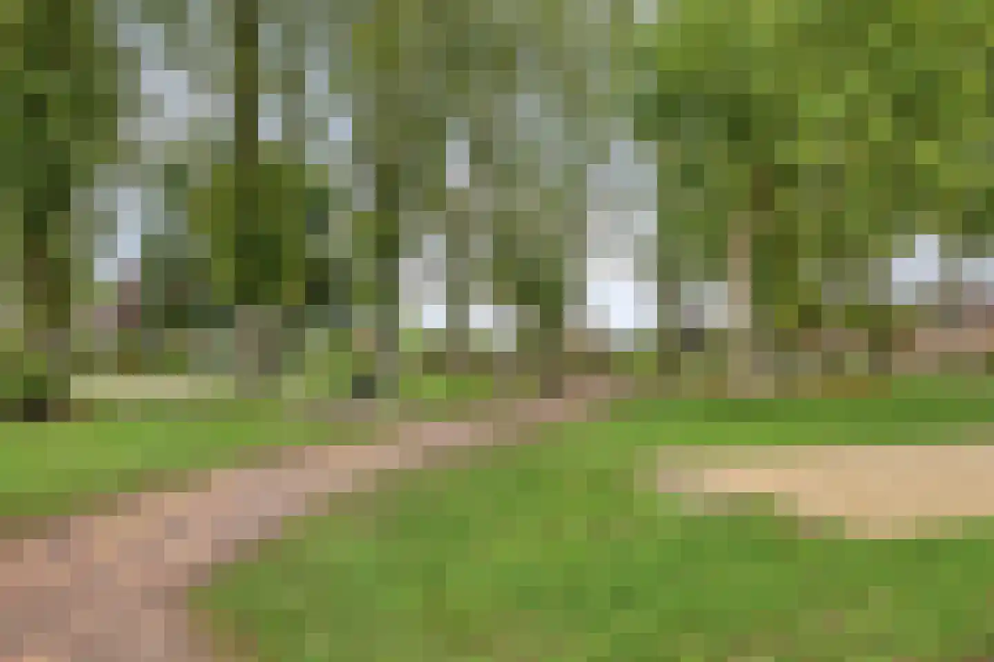 Johannapark 40 Hoeven thumbnail 36