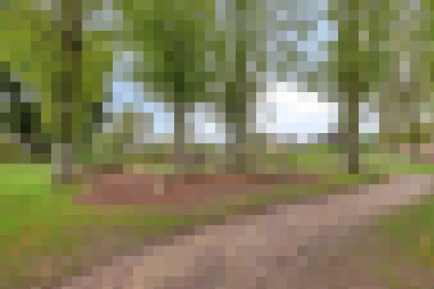 Johannapark 40 Hoeven thumbnail 8